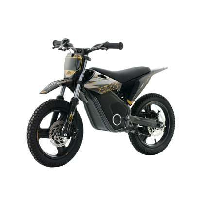 Mini moto eléctrica RFN Warrior SX-E350 para niños, en color negro, con 14/14 pulgadas y motor de 350W de X-EMOTOS.